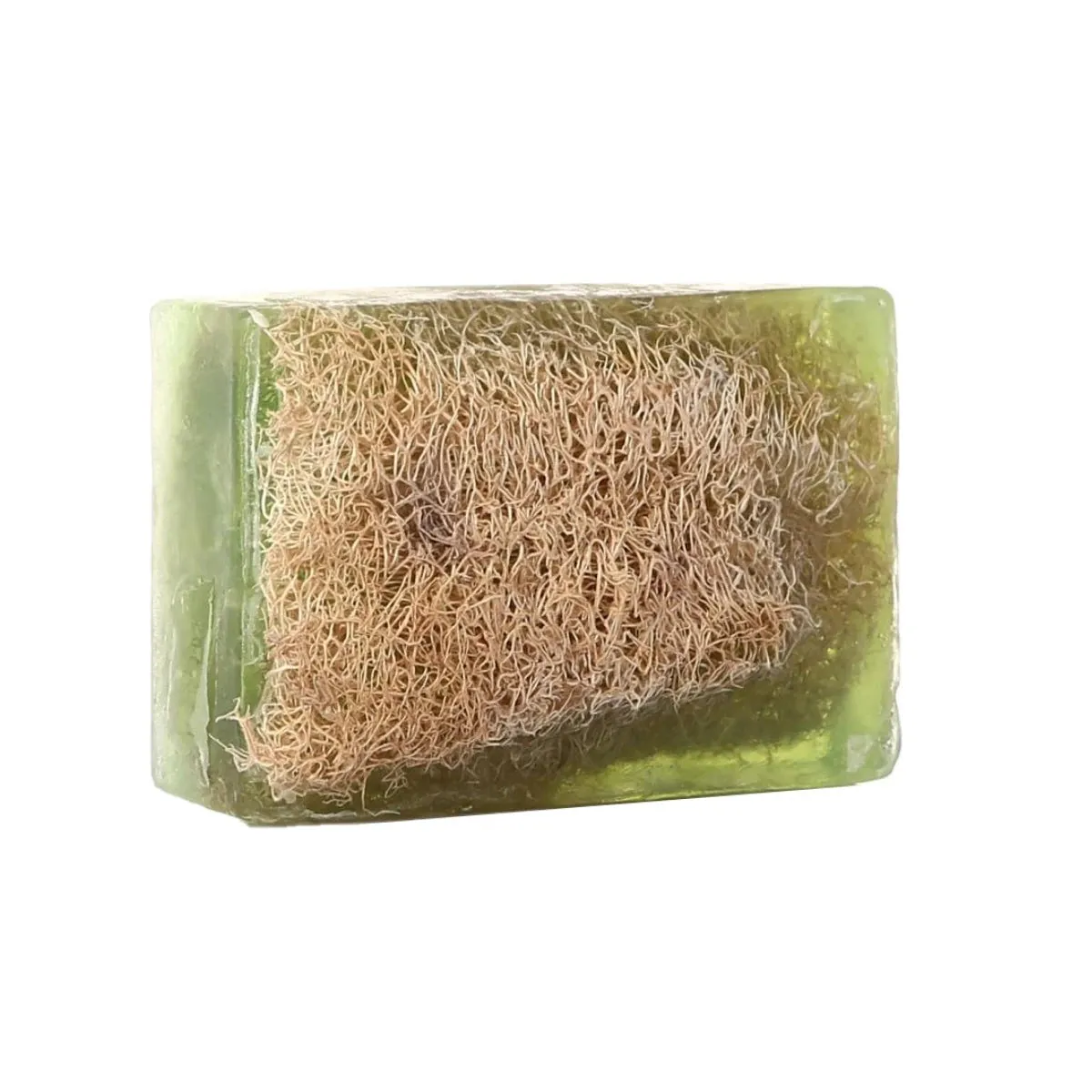 Aloe Vera Soap with Loofah