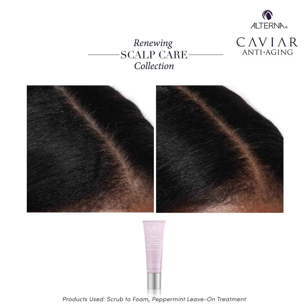 Alterna Alterna Renewing Scalp Care Peppermint Leave-On Treatment