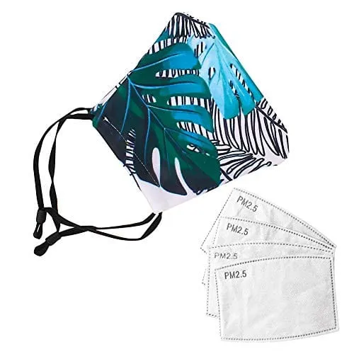 ASA Techmed 2-Piece Cloth Masks for Nose and Mouth Washable Face Covering with 4 Filters