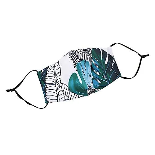 ASA Techmed 2-Piece Cloth Masks for Nose and Mouth Washable Face Covering with 4 Filters