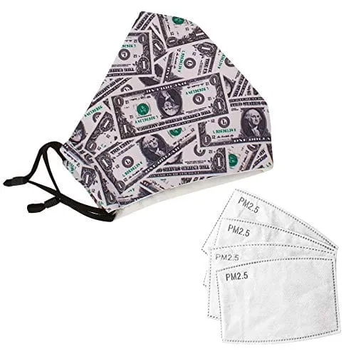 ASA Techmed 2-Piece Cloth Masks for Nose and Mouth Washable Face Covering with 4 Filters
