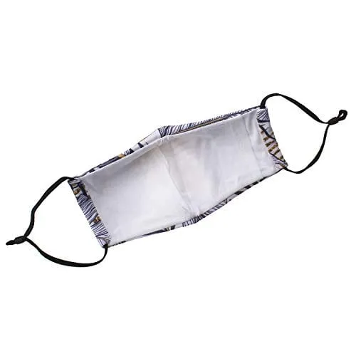 ASA Techmed 2-Piece Cloth Masks for Nose and Mouth Washable Face Covering with 4 Filters