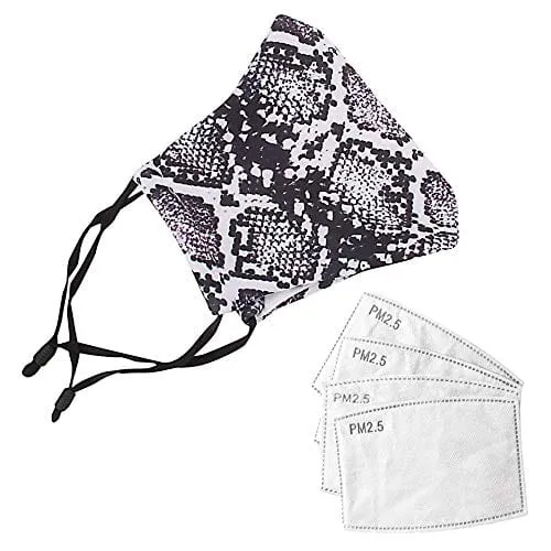 ASA Techmed 2-Piece Cloth Masks for Nose and Mouth Washable Face Covering with 4 Filters