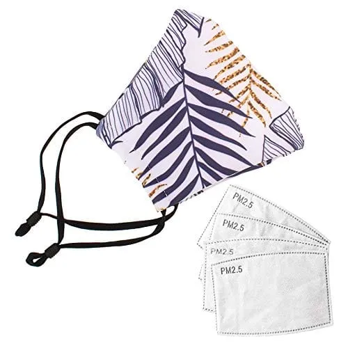 ASA Techmed 2-Piece Cloth Masks for Nose and Mouth Washable Face Covering with 4 Filters