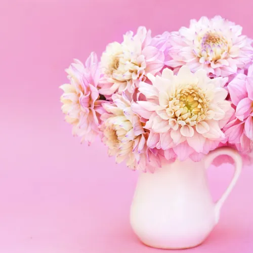 Blooms Room Spray