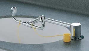 Bradley Swing Activated  Eye Wash Fixture