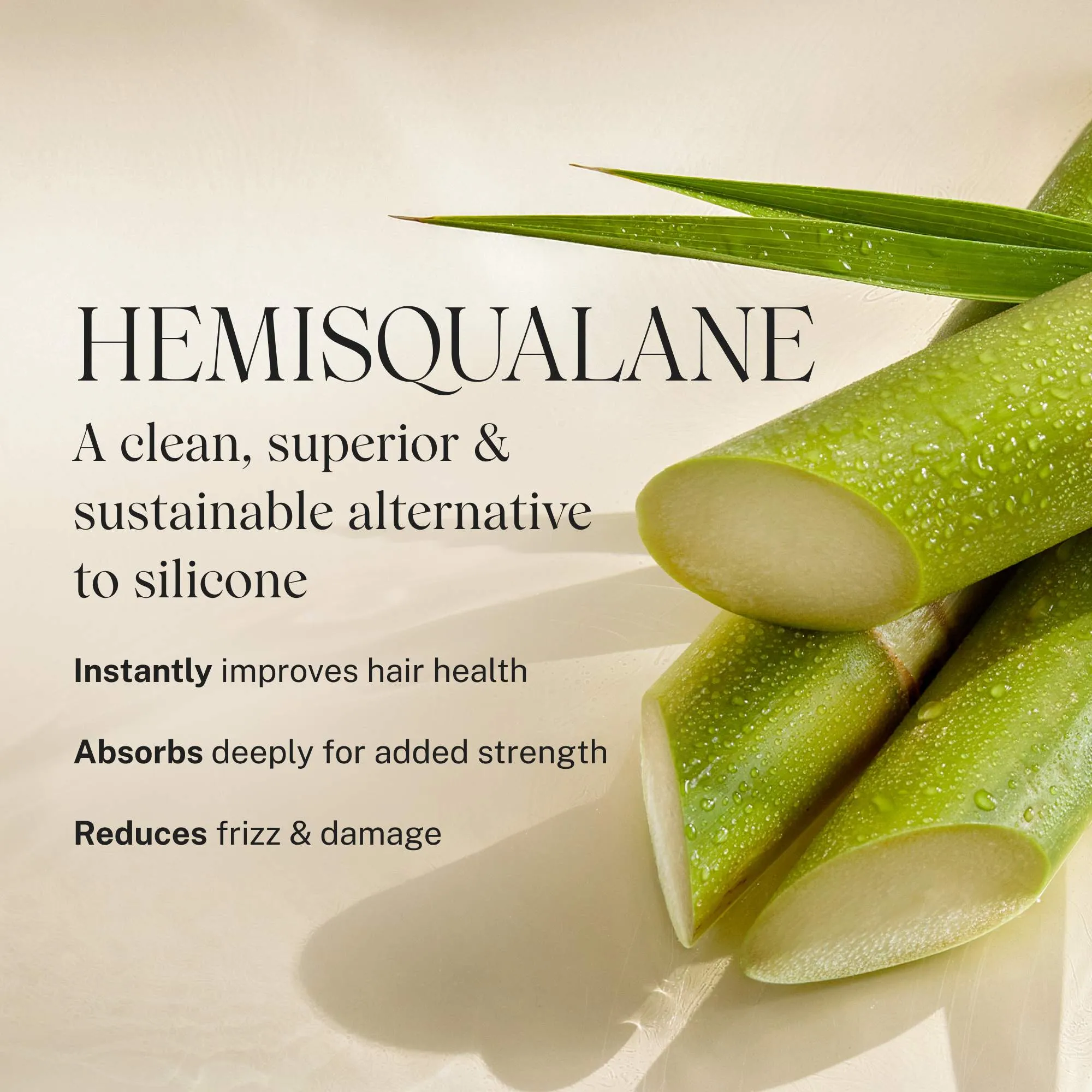 Complete Pre-Wash Scalp Oil