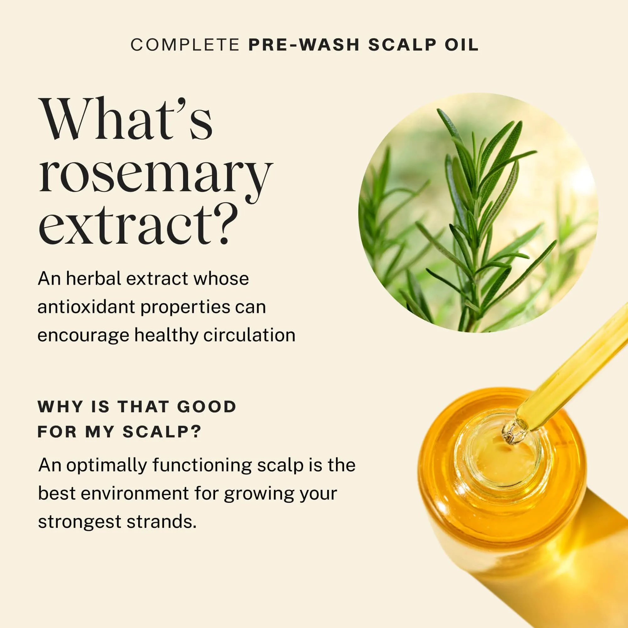 Complete Pre-Wash Scalp Oil