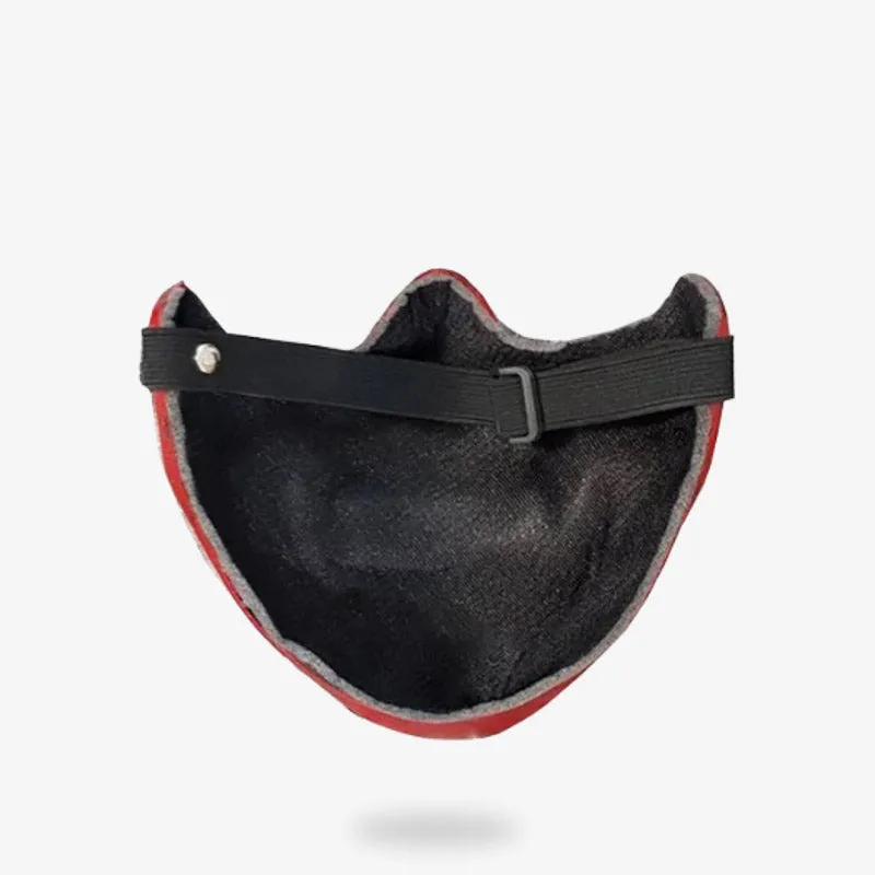 Dragon Mask