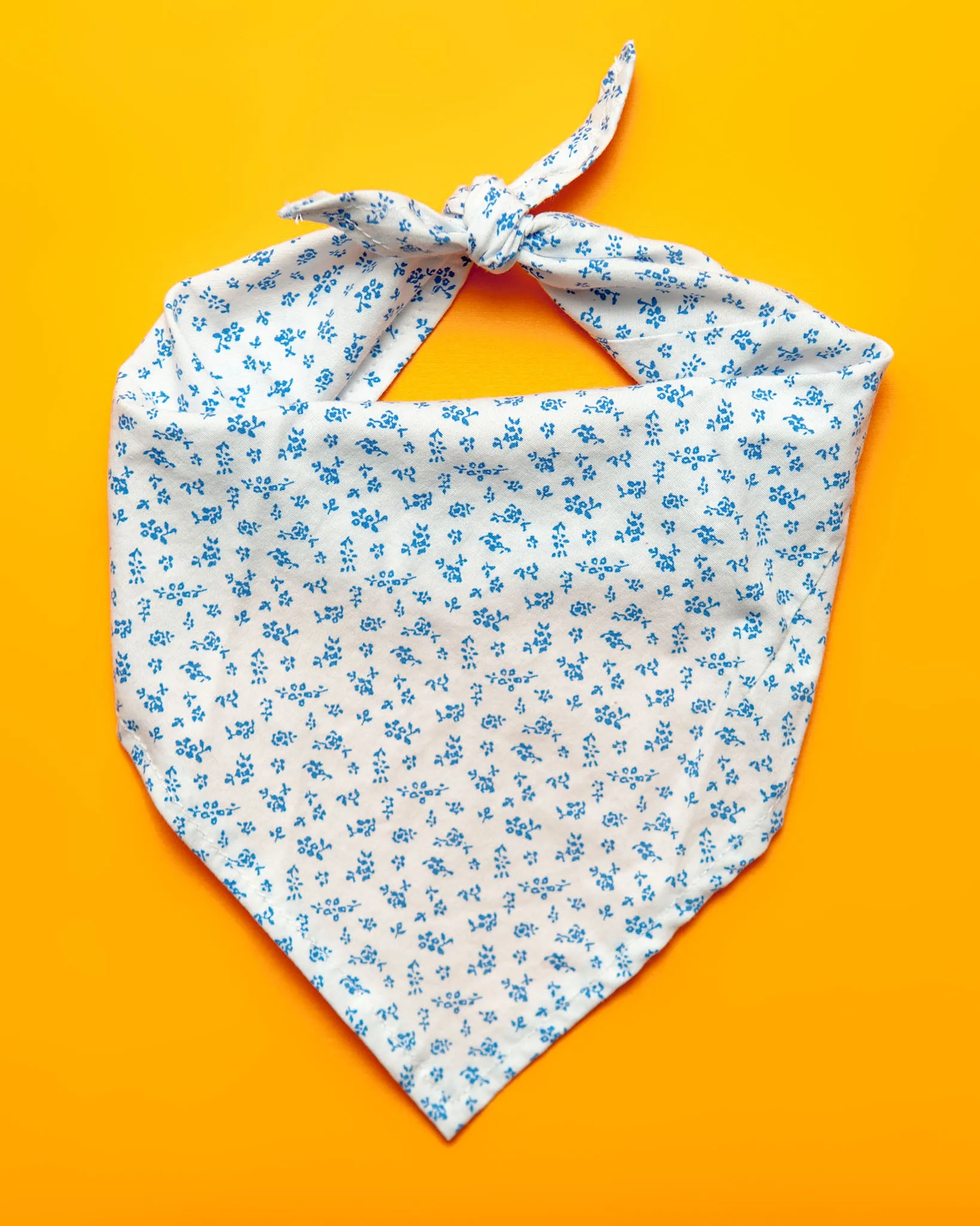 Face Mask & Dog Bandana Set in Nautical Stripe