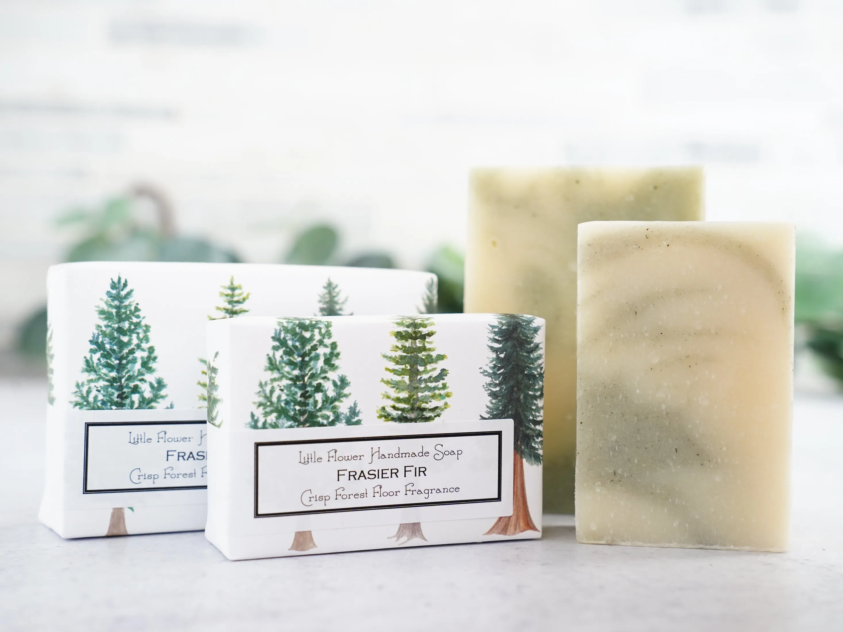 Frasier Fir - Handmade Bar Soap