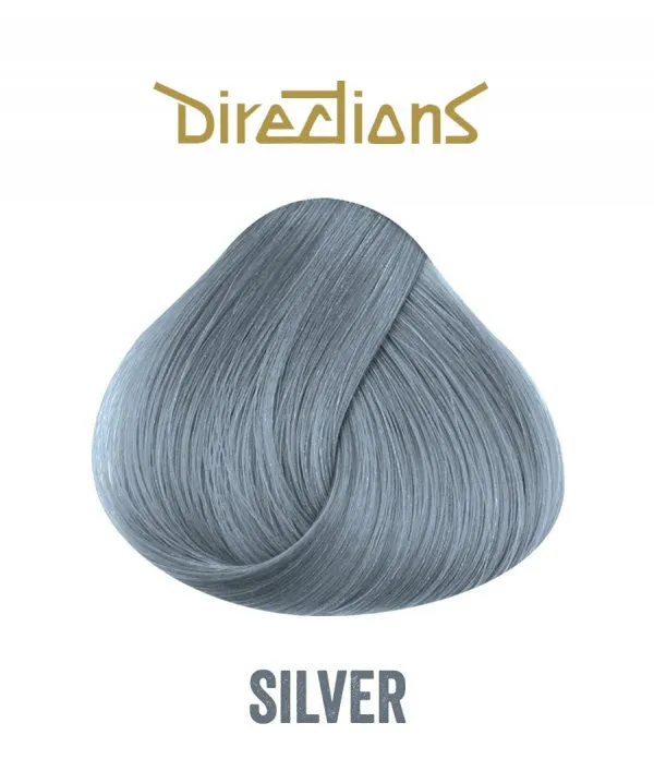 Hair Dye Directions Silver
