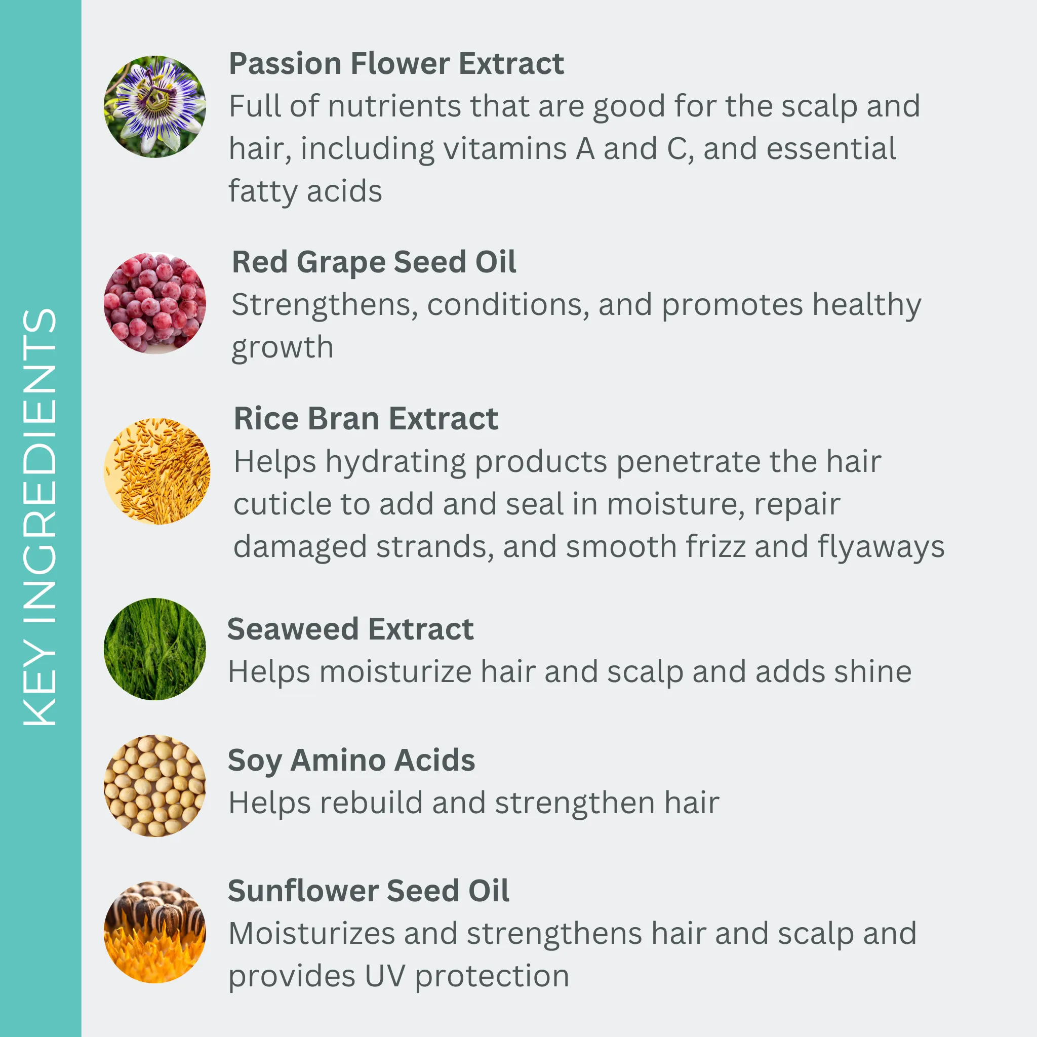 Healthy Hair Trio