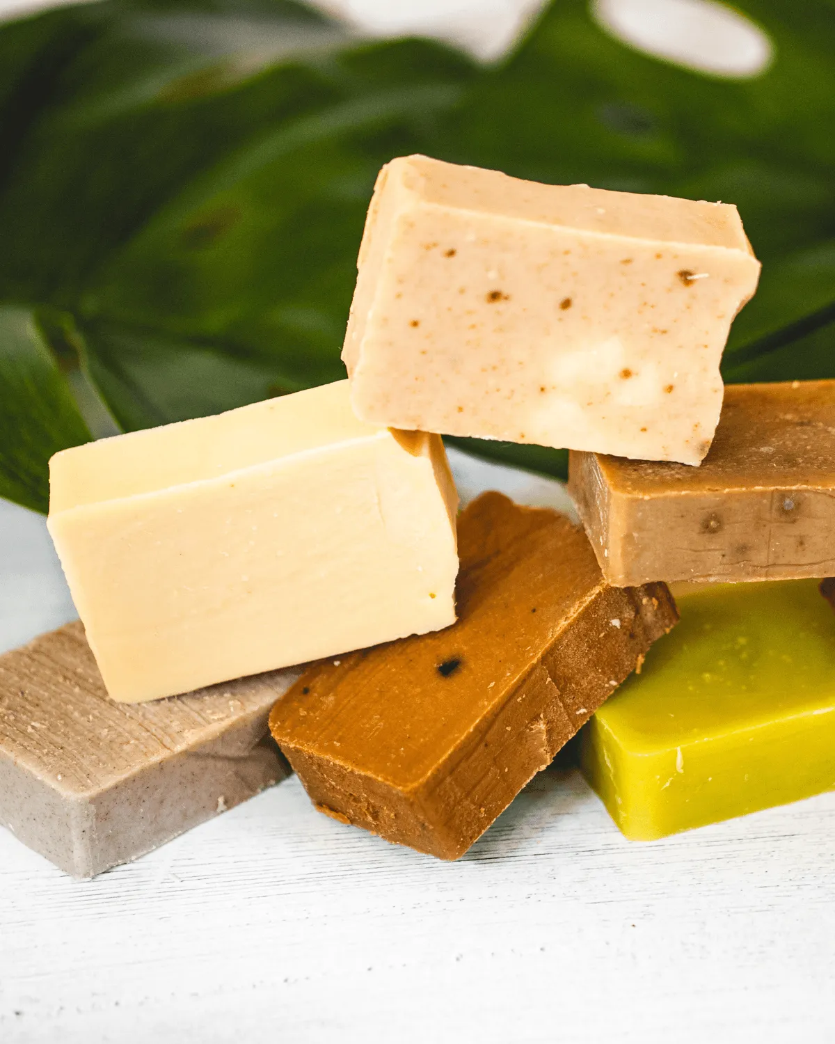 Moroccan Clay Shampoo Bar