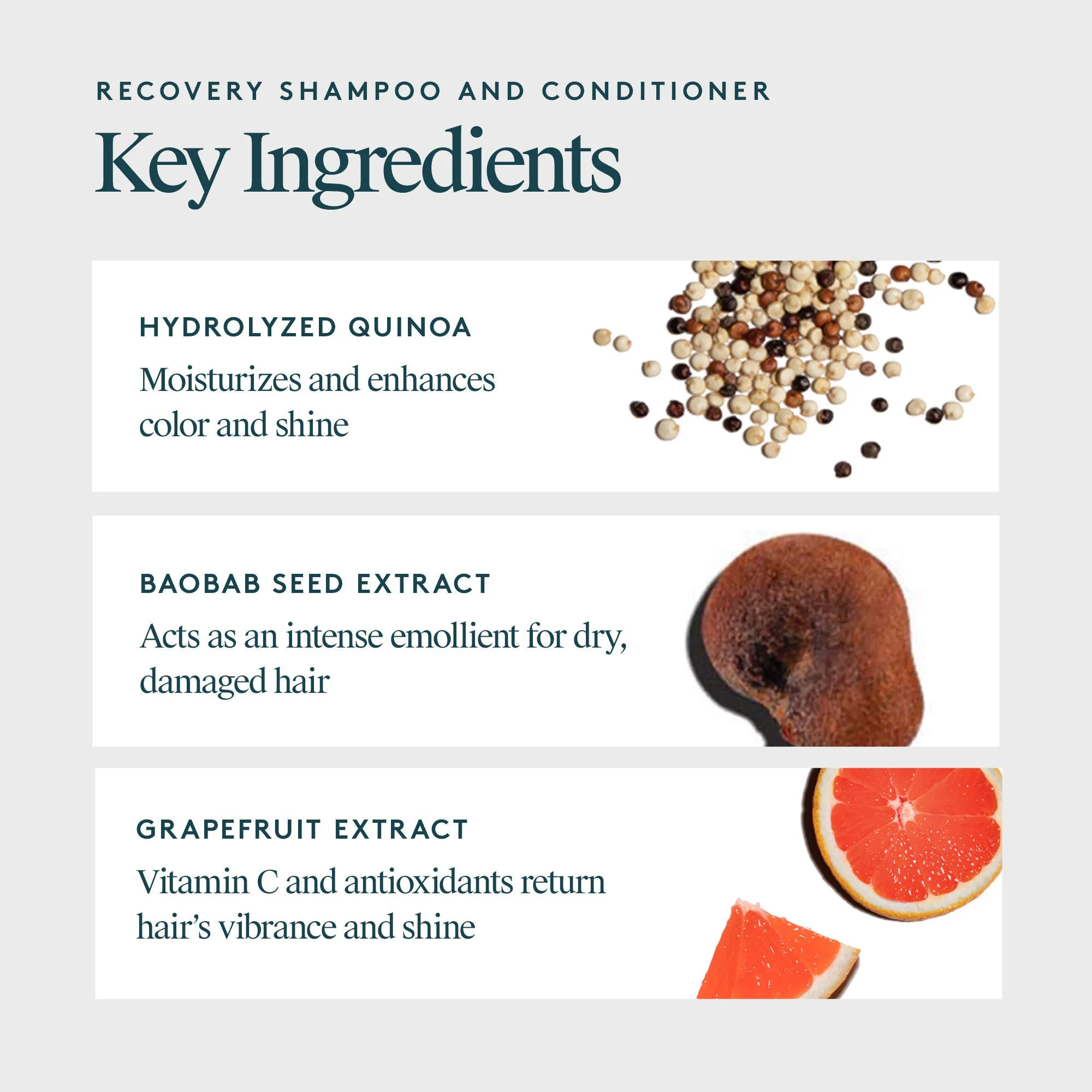 Recovery Shampoo & Conditioner: Pro Size Duo (Limited Edition)