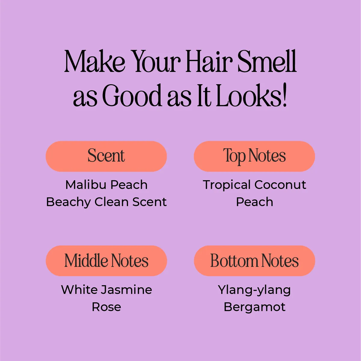 Shine & Shield Hair Care Set