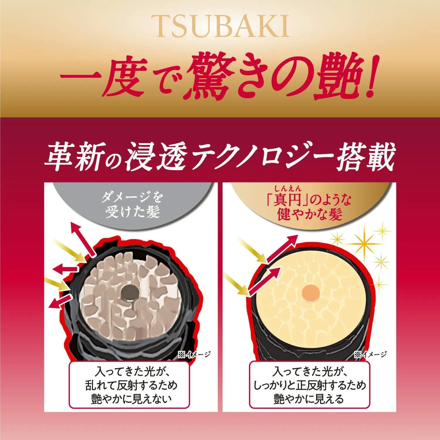 Shiseido Tsubaki Premium Repair Hair Set (2pcs)