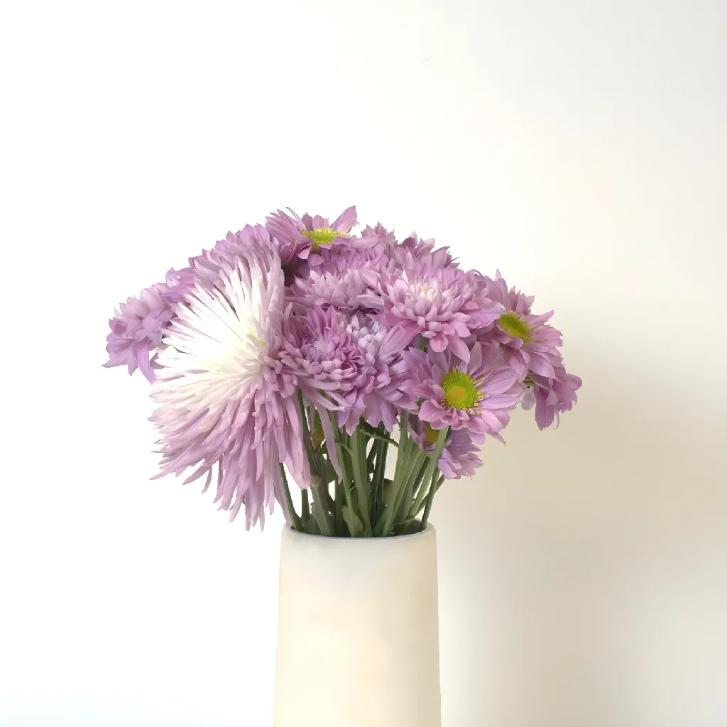 Sugar Plum Fairy Flower Pack