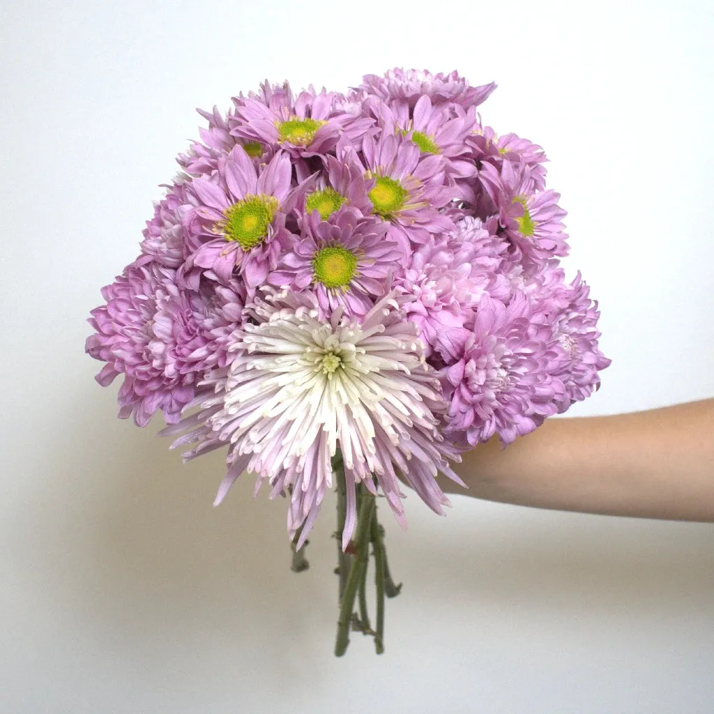 Sugar Plum Fairy Flower Pack