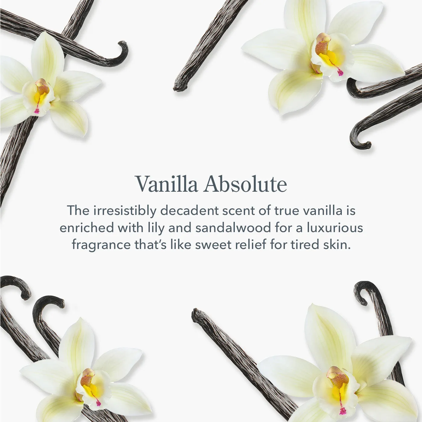 Vanilla Absolute Goat Milk Lotion - Skin Care Sale