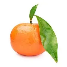 Voesh Vegan Body Cream - Tangerine Glow - 3oz