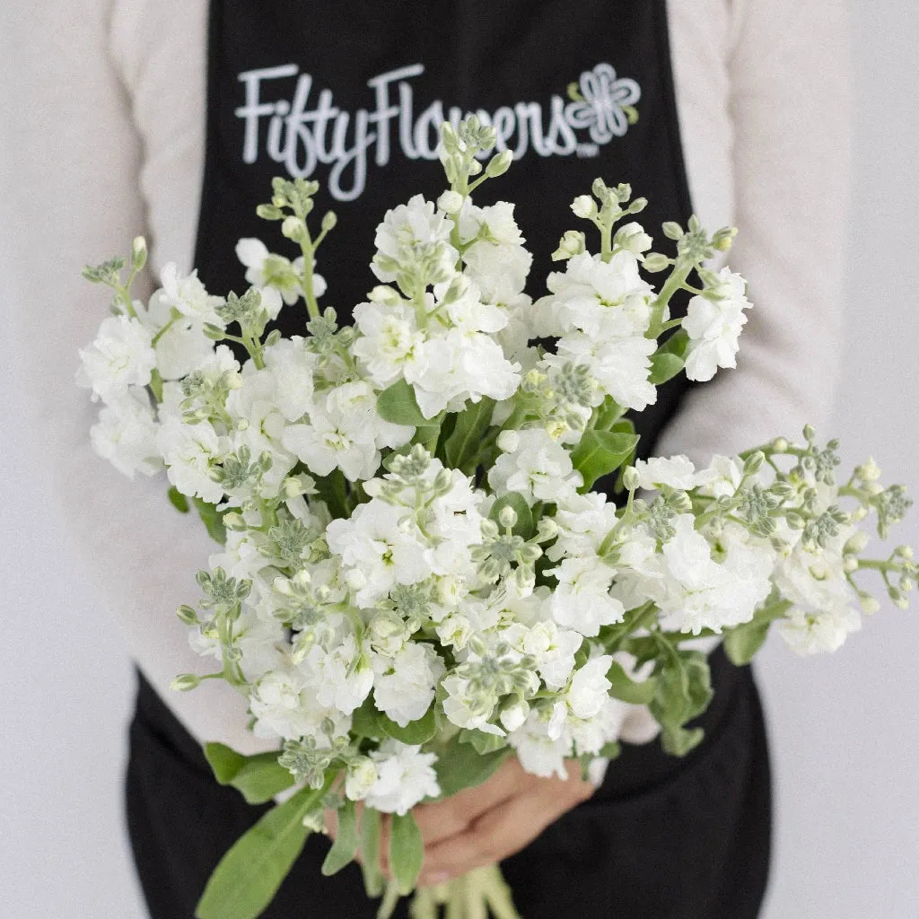 White Spray Stock Flower