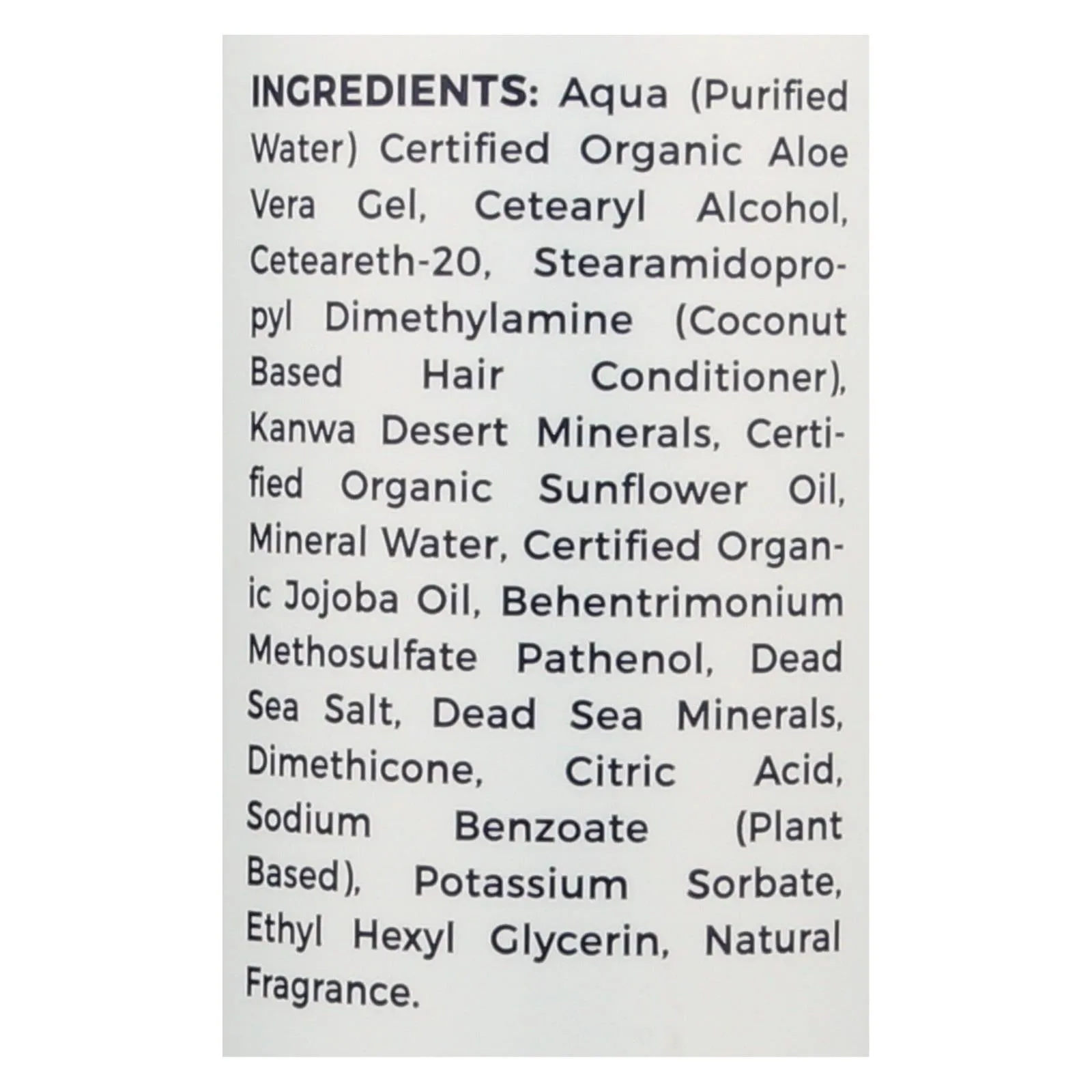 Zion Health Clay Minerals Conditioner 16 Fl Oz